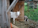 FJBWE_Okt2009_ 16
